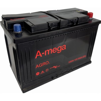 AKUMULIATORIUS A-MEGA  AGRO 12V/125AH/950A EN