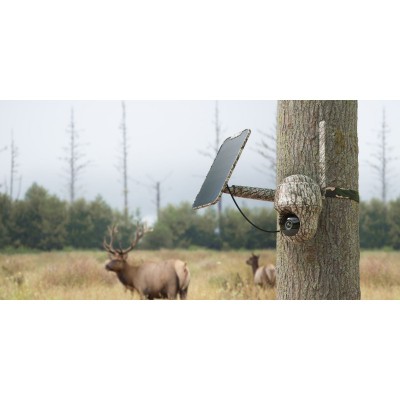 Reolink 4G KEEN Ranger PT 